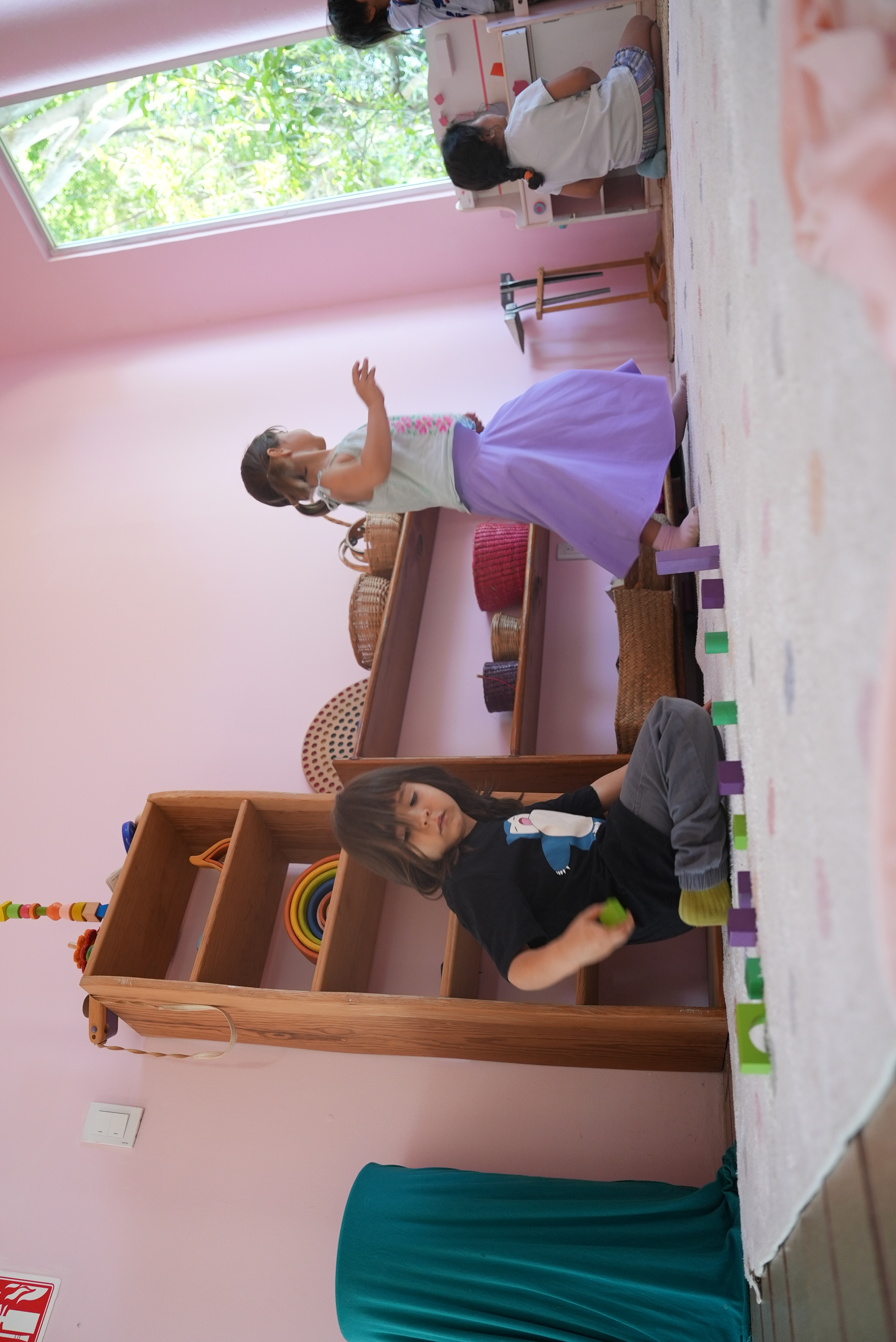 Escuela del Bosque en Grupo Helechos 2