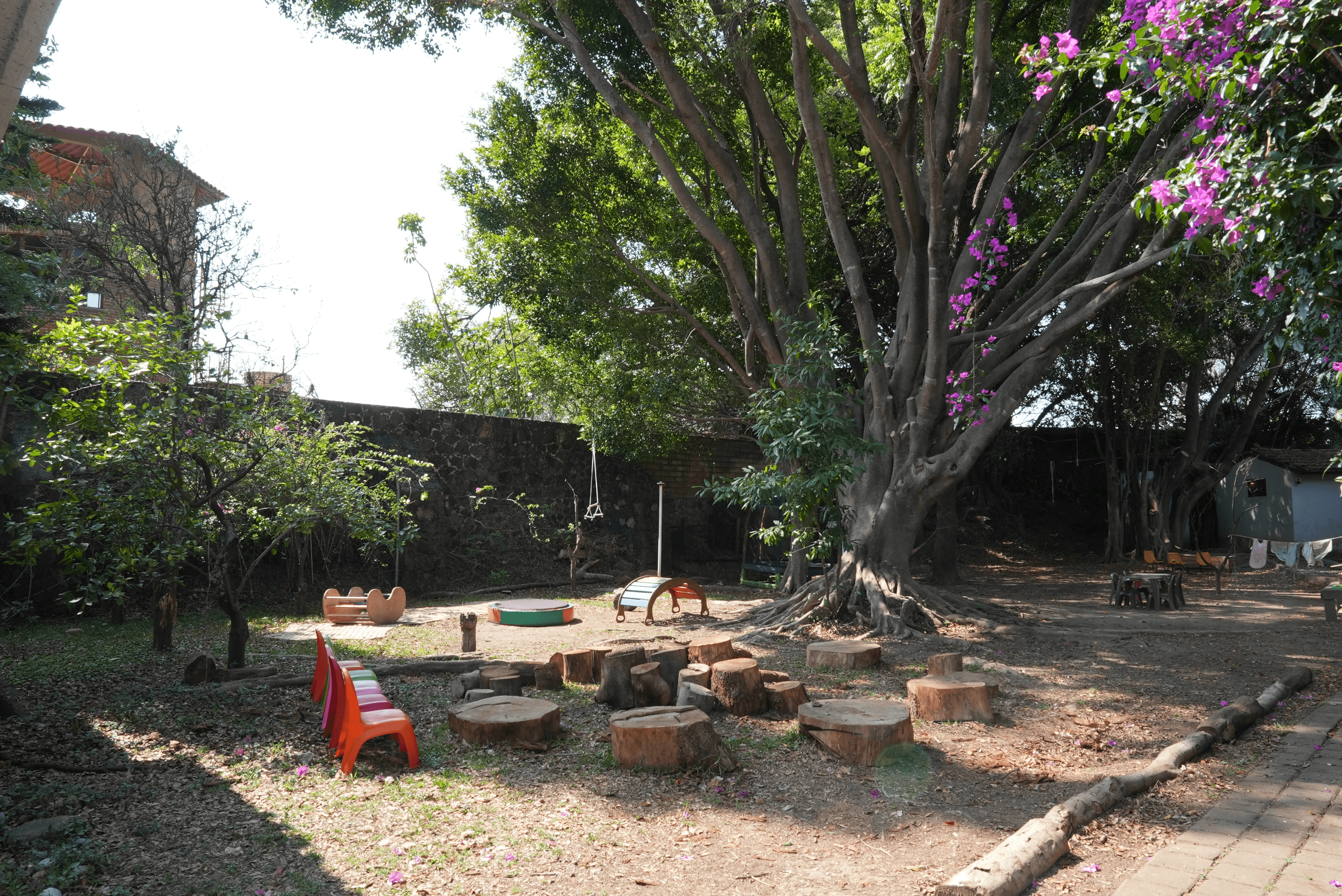 Instalaciones de Koru preparadas para actividades de aprendizaje