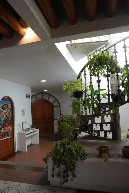 Área de Koru preparada para experiencias educativas
