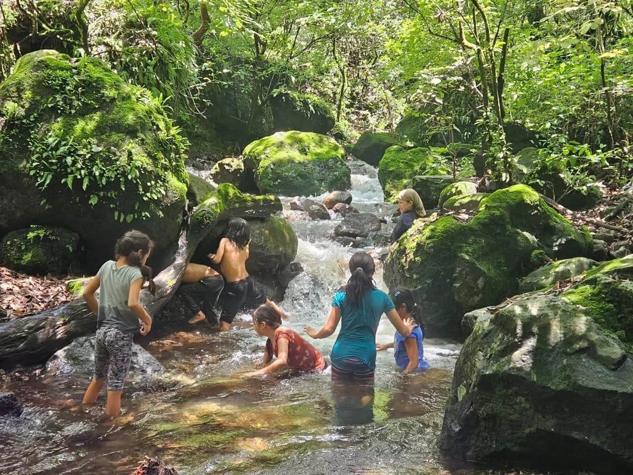 Exploración en la Escuela del Bosque