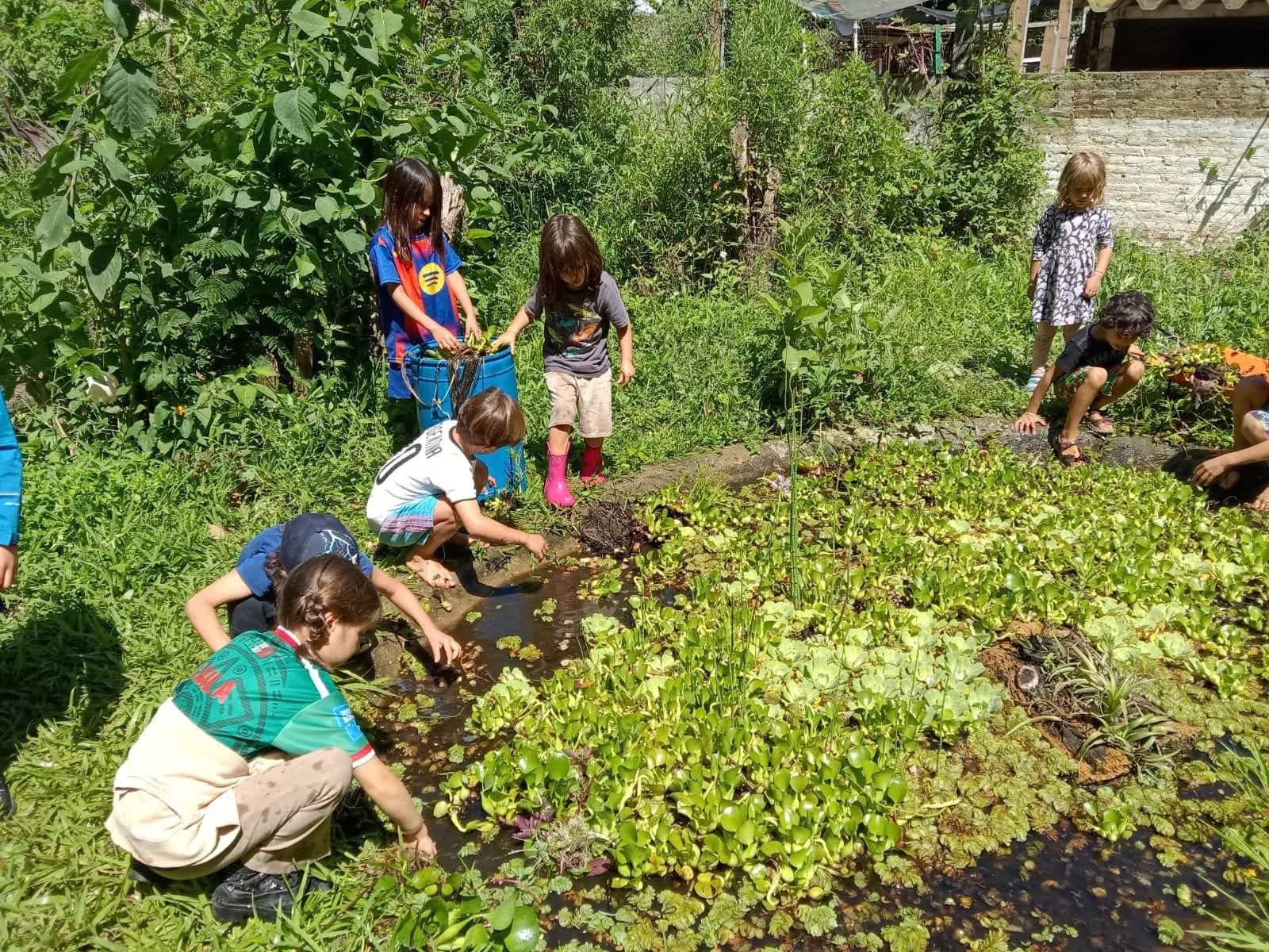 Niñas y niños explorando la naturaleza