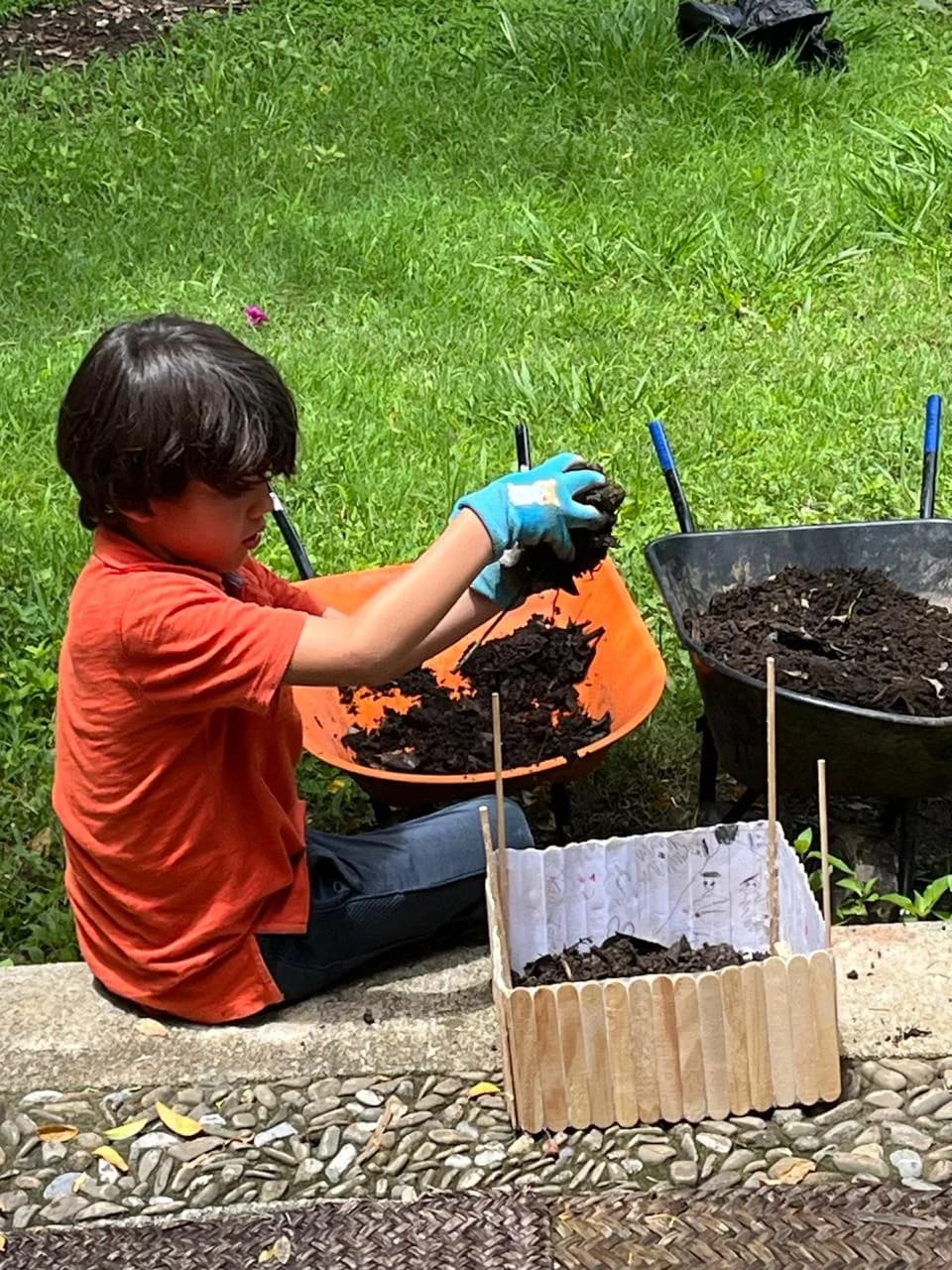 Imagen de experiencias de aprendizaje en Koru